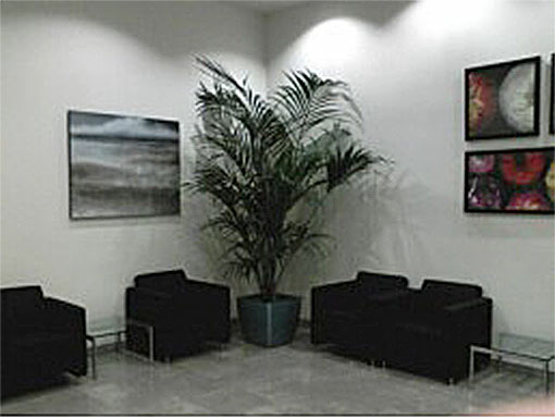 Interior Landscape Project by Bob's Tropicals in Phoenix Valley of the Sun
