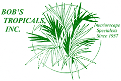 Bobs Tropicals Logo