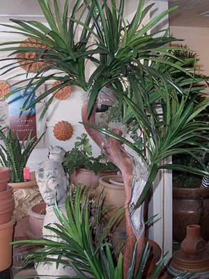 Showroom Bobs Tropicals Inc - replica plants