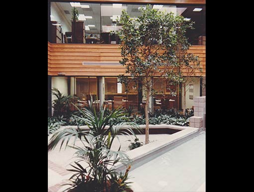 Interior Landscape Project 010 Pgs