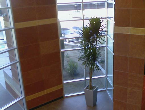 Interior Landscape Project 2 Pgs