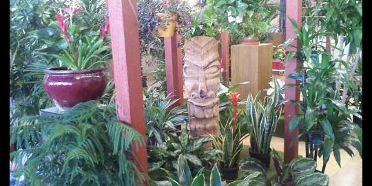 Interior Landscape by Bob's Tropicals Inc.